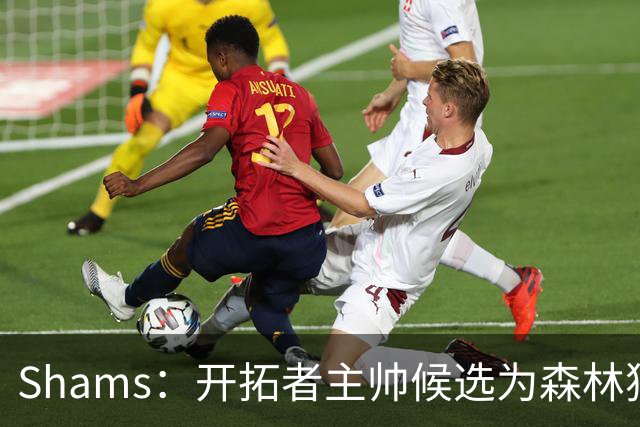 Shams：开拓者主帅候选为森林狼助教诺里&绿军年轻助教拉什布鲁克